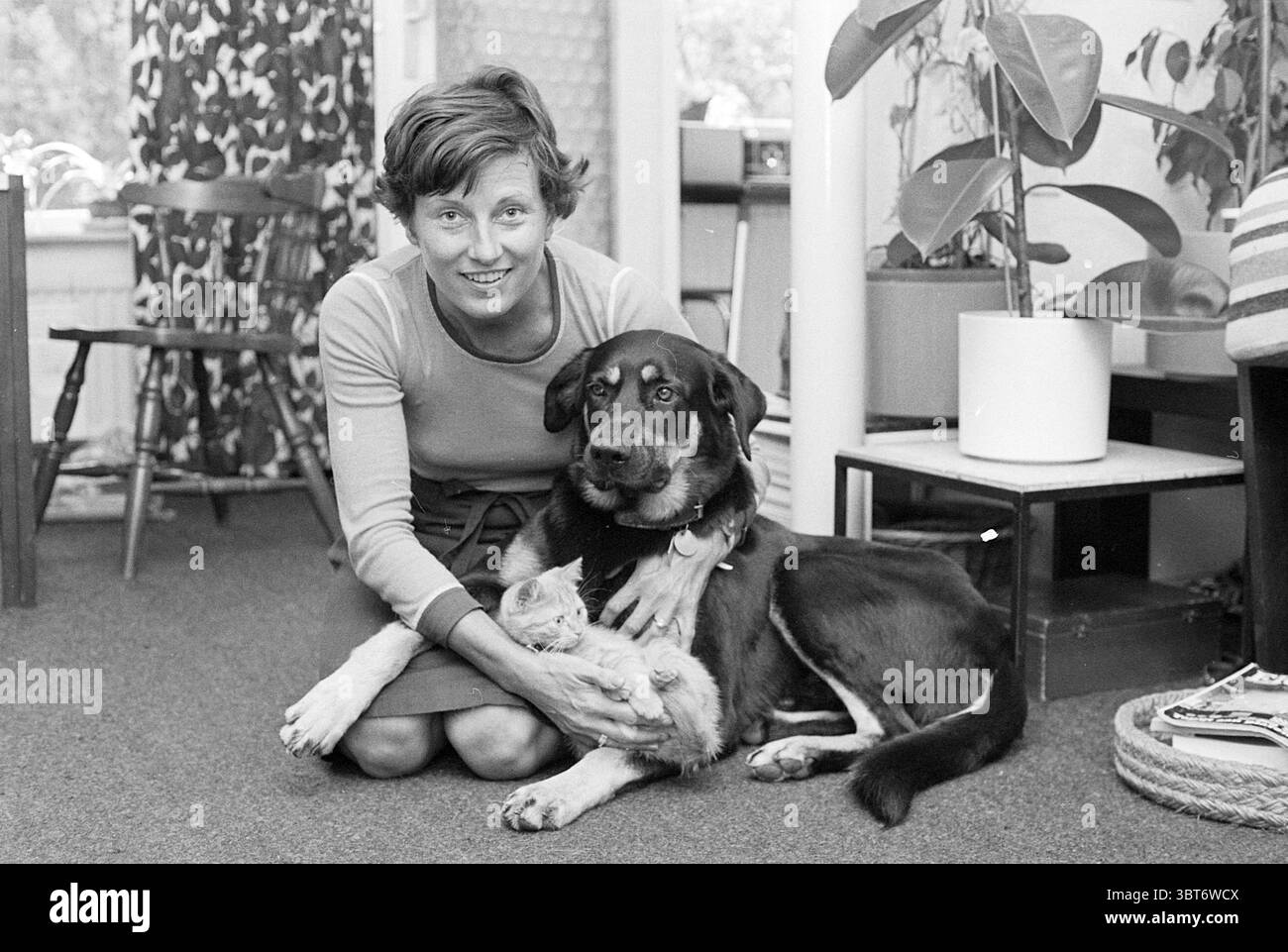 Annemarie Schepens aide les chiens errants espagnols Hillegom, Whizgle News, Dutch Desk, pays-Bas, 1950 - 2000 on 17-06-1976. L'image inclut ces rubriques. Dans un cadre intérieur confortable, une femme s'agenouille sur un tapis doux et sombre tout en berçant un chien de taille moyenne sur ses genoux. Le chien a un pelage épais et brillant avec un mélange de marques noires, brunes et blanches, affichant un comportement calme. La femme, aux cheveux courts et ondulés, porte un pull ajusté à manches longues de couleur claire, complété par une jupe longueur genou. L'arrière-plan présente une variété d'éléments de la maison, y compris une grande plante dans un pot blanc à h. Banque D'Images