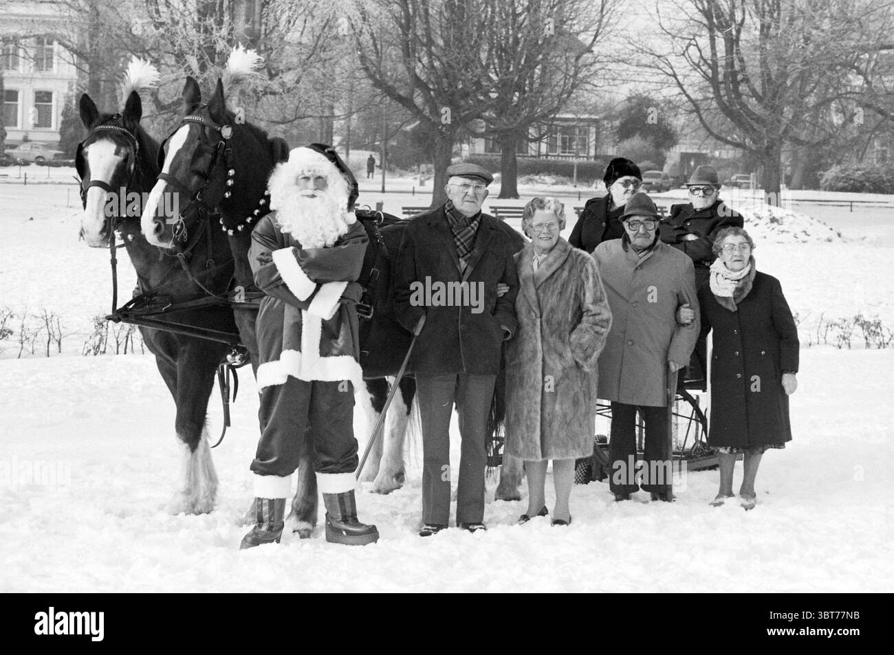 Trois couples de soixante ans avec traîneau et Santa Claus Noël et arbres de Noël, Whizgle News, Dutch Desk, pays-Bas, 1950 - 2000 on 17-12-1981. Ce sont les éléments de l'image. Dans une scène hivernale couverte d'une couverture fraîche de neige, un groupe de personnes se tient devant un traîneau tiré par des chevaux. Le paysage est marqué par un terrain blanc doux, avec des flocons de neige tombant doucement du ciel couvert. A gauche, une paire de chevaux majestueux, ornés de décorations festives, se tiennent patiemment. Un cheval dispose d'un harnais subtilement embelli, ajoutant une touche de gaieté au Mo Banque D'Images