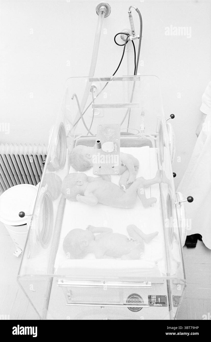 Triplés dans un incubateur., Whizgle News, Dutch Desk, pays-Bas, 1950 - 2000. Ces rubriques sont illustrées dans l'image. La scène montre un cadre clinique, caractérisé principalement par une atmosphère stérile et lumineuse. Au centre, il y a un incubateur, qui est conçu avec des matériaux transparents, permettant une vue dégagée de ce qui se trouve à l'intérieur. À l'intérieur de l'incubateur, il y a deux nouveau-nés, tous deux positionnés paisiblement côte à côte sur une surface molle. Leur peau est une délicate nuance de rose, soulignant leur fragilité et leur vulnérabilité. L'éclairage dans la scène est lumineux et clinique, Banque D'Images