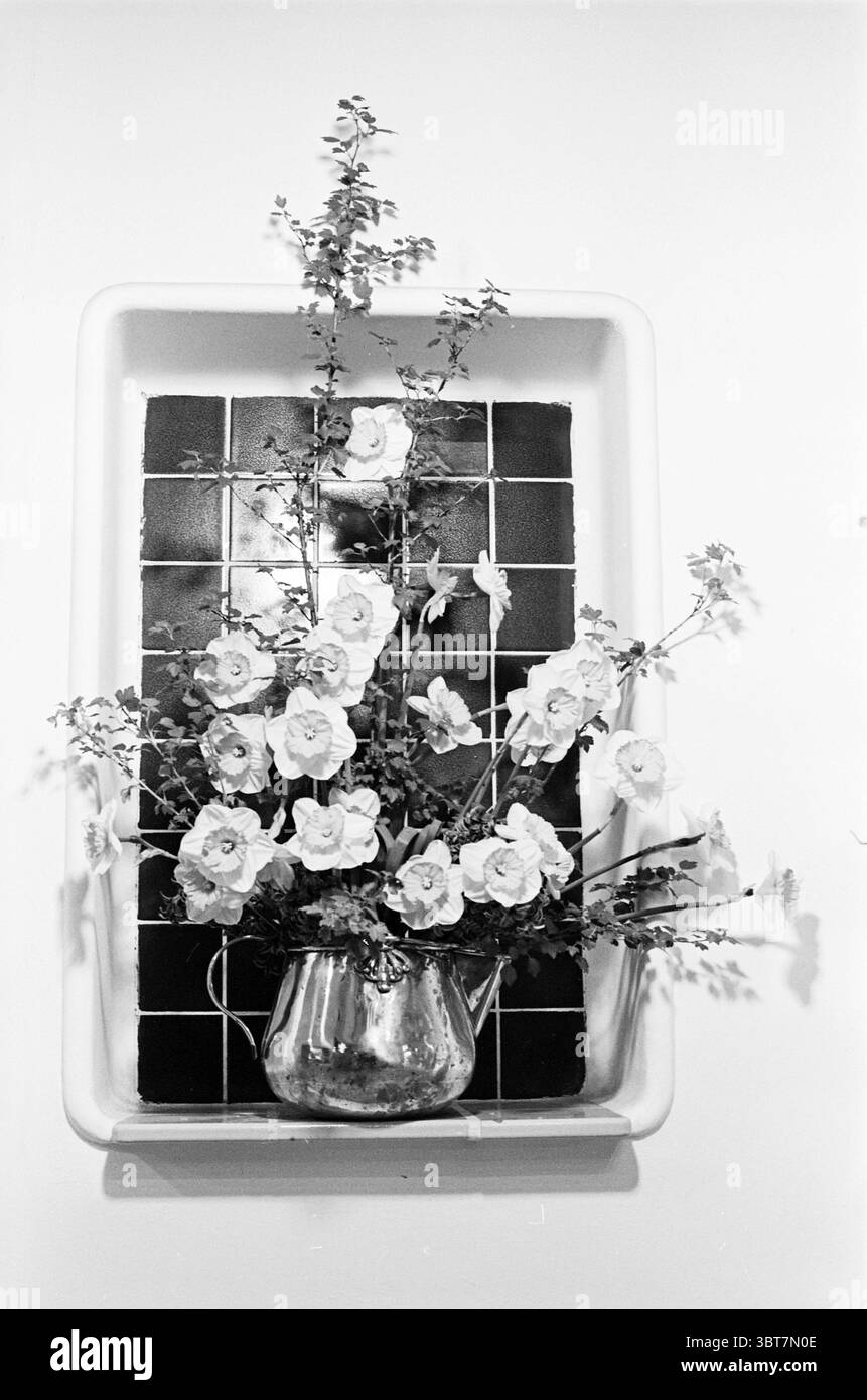 Arrangement de fleurs premiers arrangements floraux domaine de la Fondation Keukenhof à lisse Stationsweg, Whizgle News, Dutch Desk, pays-Bas, 1950 - 2000 le 21-04-1964. Ces rubriques apparaissent dans l'image. La scène présente un bouquet de fleurs magnifiquement arrangé affiché dans un vase en verre transparent. Les fleurs sont majoritairement de couleur claire, présentant des teintes douces de blanc et de rose pâle, avec des pétales délicats qui présentent un léger éclat. Autour des fleurs sont des touches de feuillage vert, ajoutant un contraste frais. La toile de fond se compose d'une surface carrelée qui alterne entre squ clair et sombre Banque D'Images