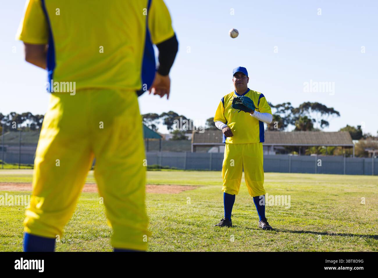 Joueur de baseball masculin attrapant le baseball portant un uniforme jaune et bleu sur un terrain herbeux avec une clôture Banque D'Images