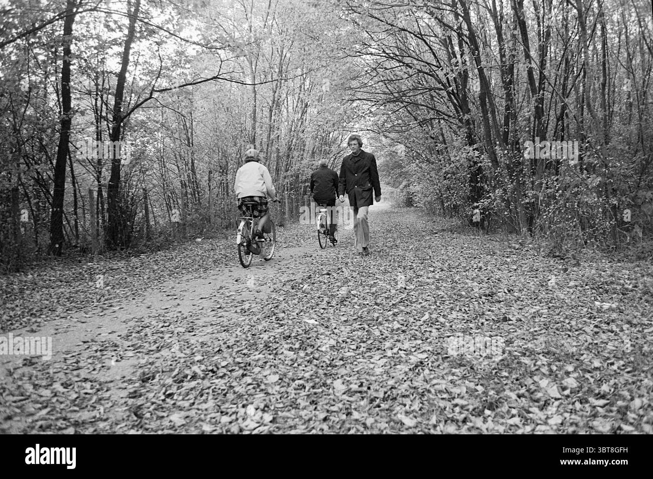 Piste cyclable H.D. pistes cyclables cyclables cyclistes, Whizgle News, Dutch Desk, pays-Bas, 1950 - 2000 on 01-11-1973. Ces rubriques sont illustrées dans l'image. Une scène tranquille se déroule le long d'un chemin sinueux, encadré par de grands arbres dont les branches sont ornées d'un mélange de feuillage d'automne vibrant, passant du vert à des teintes chaudes de jaune et d'orange. Le sol est recouvert d'une épaisse couche de feuilles tombées, créant un tapis mou qui étouffe les pas et les pneus de vélo. Deux individus à vélo prennent le sentier, leurs formes subtilement silhouettées contre la faible lumière filtrant à travers les arbres Banque D'Images Piste cyclable H.D. pistes cyclables cyclables cyclistes, Whizgle News, Dutch Desk, pays-Bas, 1950 - 2000 on 01-11-1973. Ces rubriques sont illustrées dans l'image. Une scène tranquille se déroule le long d'un chemin sinueux, encadré par de grands arbres dont les branches sont ornées d'un mélange de feuillage d'automne vibrant, passant du vert à des teintes chaudes de jaune et d'orange. Le sol est recouvert d'une épaisse couche de feuilles tombées, créant un tapis mou qui étouffe les pas et les pneus de vélo. Deux individus à vélo prennent le sentier, leurs formes subtilement silhouettées contre la faible lumière filtrant à travers les arbres Banque D'Images