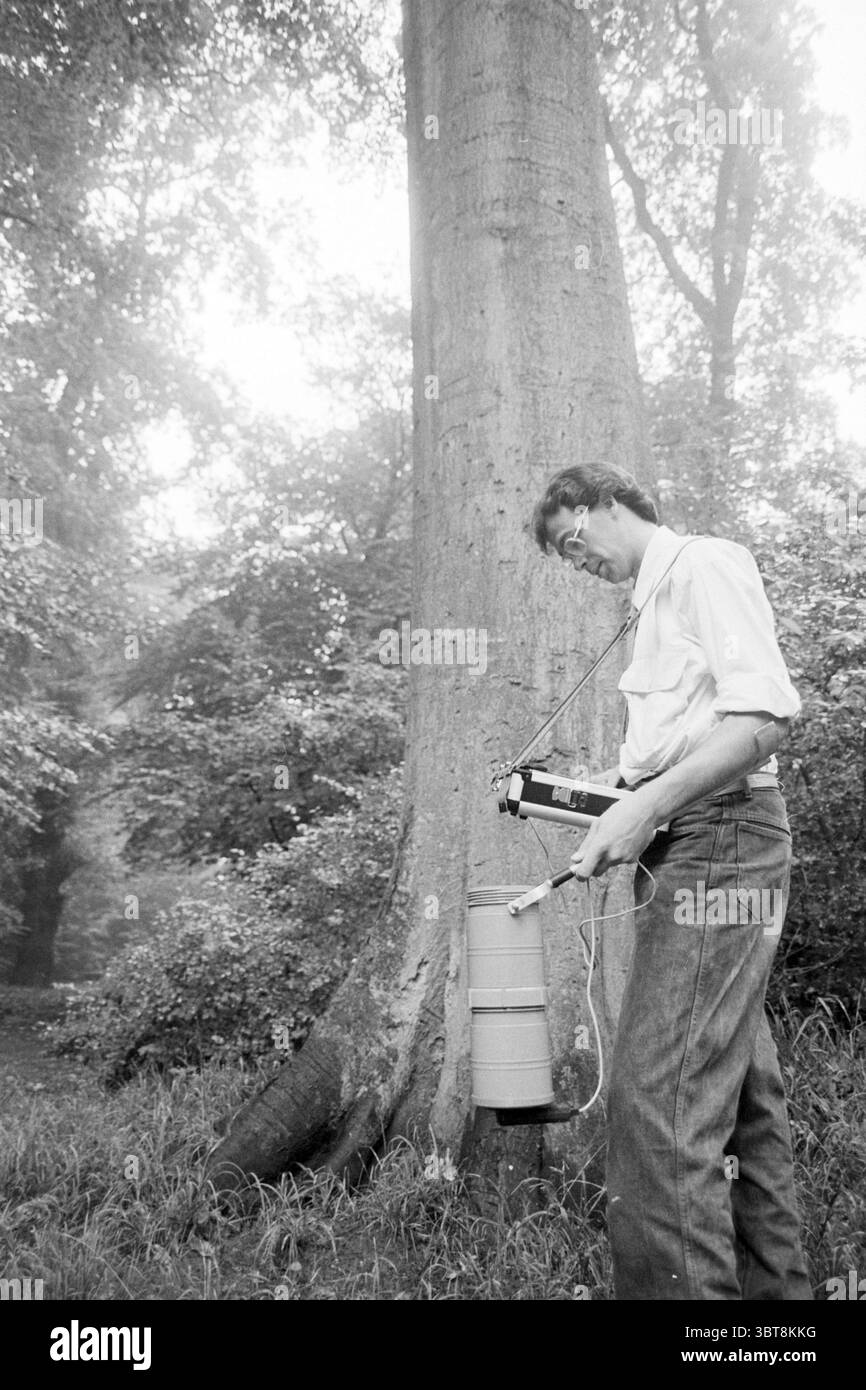 Compteur de couronnes pour la santé des arbres H'lemmerhout Trees, Whizgle News, Dutch Desk, pays-Bas, 1950 - 2000 le 29-08-1989. Ces rubriques sont illustrées dans l'image. Dans un cadre extérieur serein, un grand arbre feuillu domine la scène, son imposant tronc épais et texturé avec des rainures profondes et une base large. La forêt environnante est luxuriante avec une palette de verts, mélangeant diverses nuances allant de l'émeraude profonde aux teintes plus claires et vibrantes. L'atmosphère générale est calme et naturelle, accentuée par de doux faisceaux de lumière filtrant à travers le feuillage au-dessus, créant un effet tapissé sur le sol. Un homme se tient debout Banque D'Images