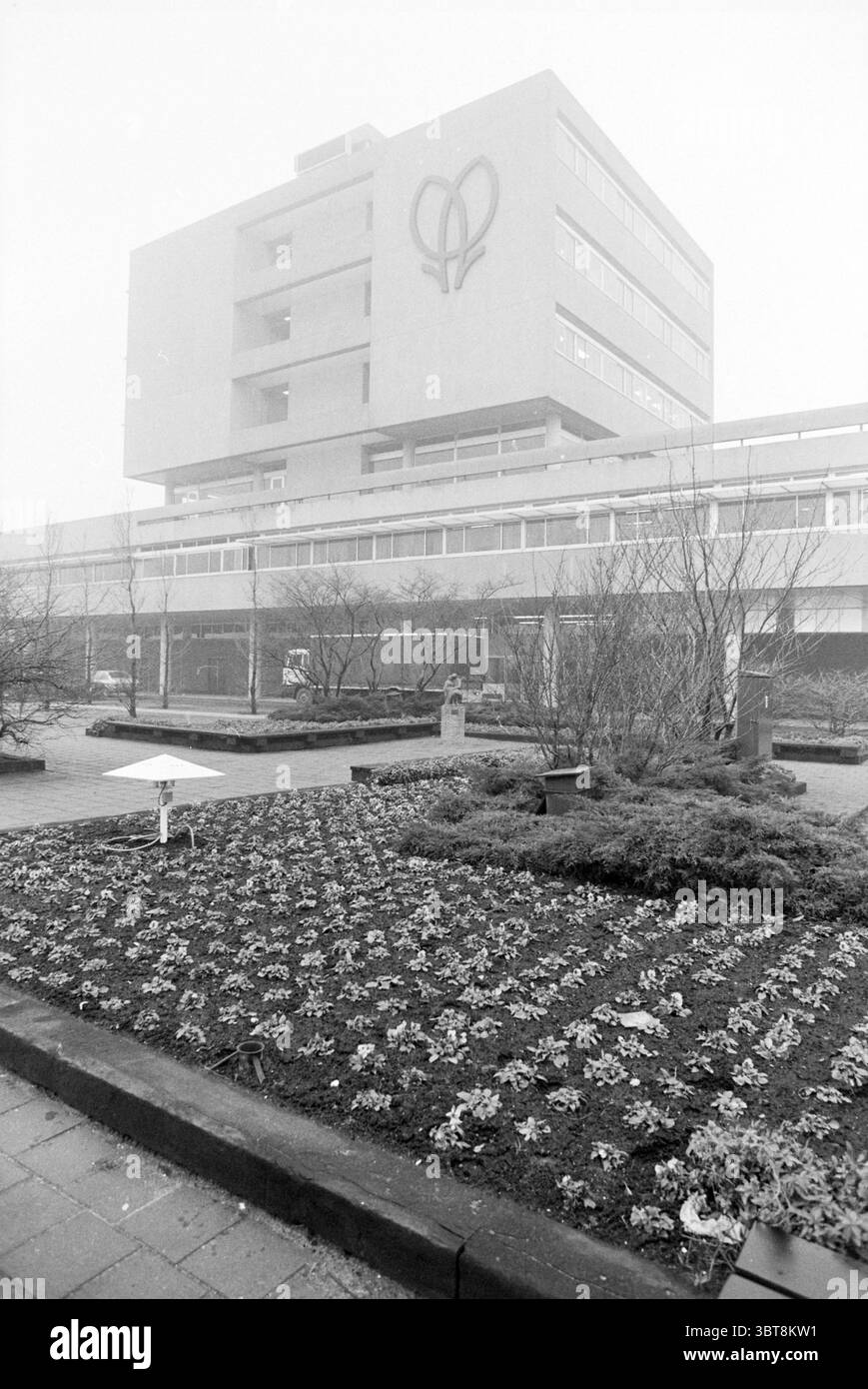 Vente de fleurs extérieures Aalsmeer ventes de fleurs et de filles de fleurs Aalsmeer Legmeerdijk, Whizgle News, Dutch Desk, pays-Bas, 1950 - 2000 sur 24-01-1981. Ces rubriques apparaissent dans l'image. La scène présente un bâtiment moderne à plusieurs étages caractérisé par ses lignes épurées et ses formes géométriques, construit à partir de béton et de verre. La façade arbore un emblème stylisé surdimensionné, ajoutant une touche distinctive à l'architecture. Les niveaux supérieurs sont pour la plupart ornés de grandes fenêtres qui reflètent l'environnement silencieux. Au premier plan, un lit floral bien entretenu se compose d'une riche tapest Banque D'Images