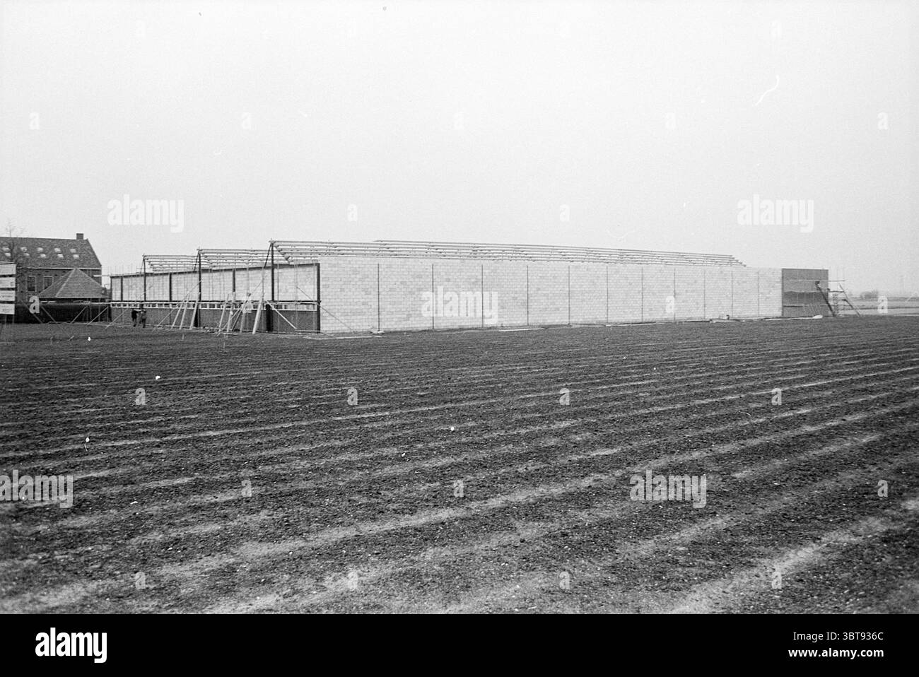 Construction de travaux de hangar à bulbes, Whizgle News, Dutch Desk, pays-Bas, 1950 - 2000 le 22-02-1968. L'image inclut ces rubriques. La scène représente un grand bâtiment partiellement construit contre un vaste champ ouvert. La structure est caractérisée par une forme longue et allongée avec un squelette de poutres et de murs en acier qui sont soit découverts, soit en cours de finition, indiquant qu'il s'agit toujours d'un travail en cours. Autour du bâtiment, le sol apparaît brun et labouré en rangées, suggérant une activité agricole récente ou une préparation à la plantation. Le ciel est couvert, castin Banque D'Images