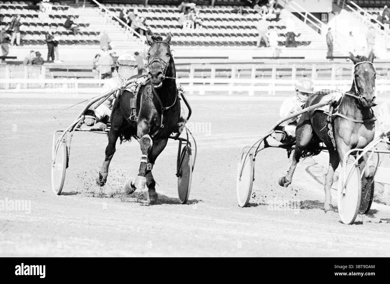 Pikeur Rob de Vlieger, Whizgle News, Dutch Desk, pays-Bas, 1950 - 2000 on 22-10-1994. Ces rubriques sont illustrées dans l'image. La scène capture un événement de course de chevaux dynamique, caractérisé par le mouvement puissant des sujets. Deux chevaux sont en vedette, à la fois harnachés et galopant vigoureusement. Leur corps musclé affiche un éclat brillant, soulignant leur force et leur vitesse alors qu'ils font sauter un nuage de poussière derrière eux, accentuant l'intensité de la course. Le premier cheval, légèrement en avant, a un pelage noir épuré, sa crinière coulant avec l’élan. Le jockey, vêtu d'un ajustement Banque D'Images
