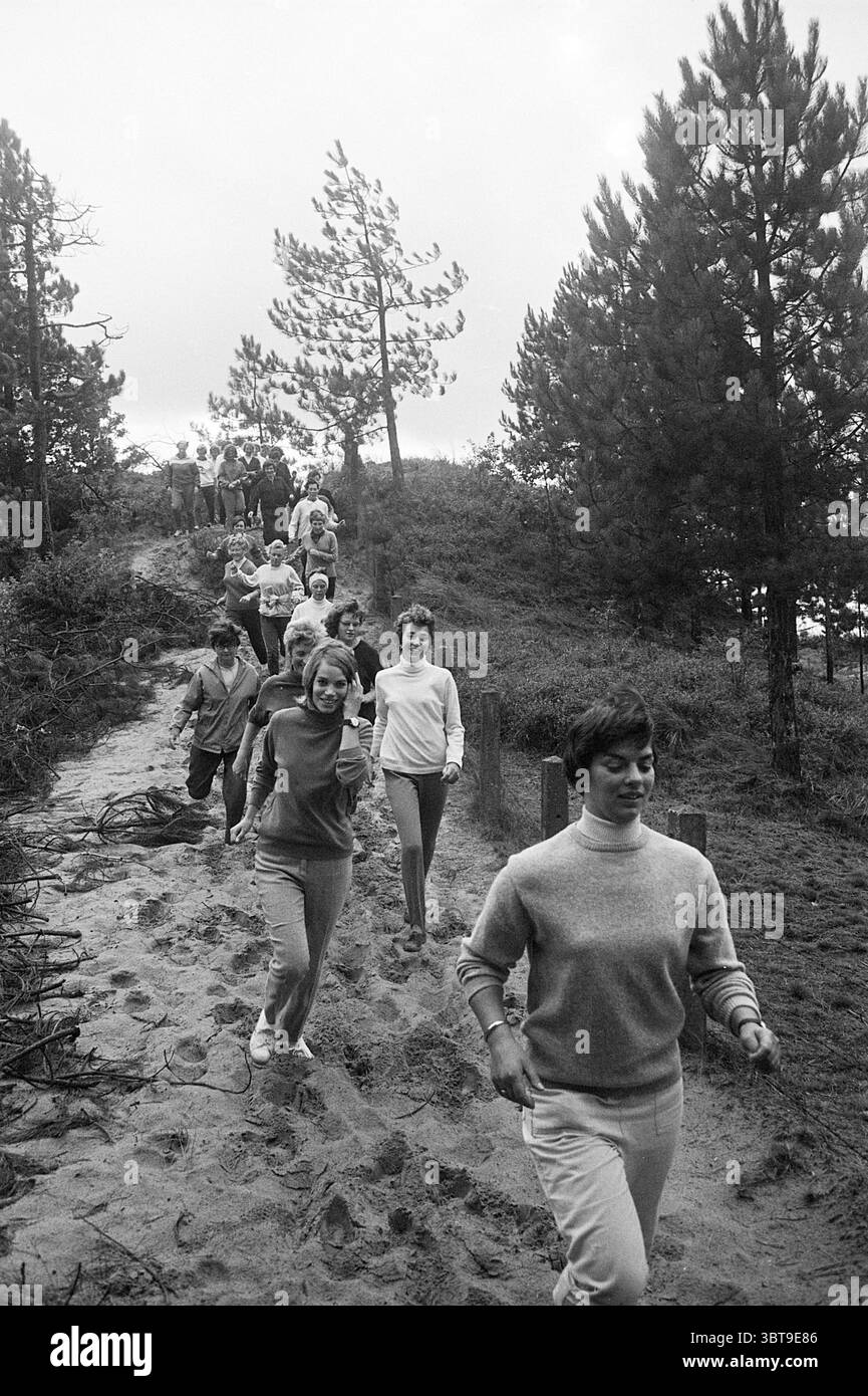 Formation chez CIO Training, Whizgle News, Dutch Desk, pays-Bas, 1950 - 2000 le 05-10-1967. L'image inclut ces rubriques. Dans un cadre naturel marqué par un chemin de terre sinueux menant à une pente douce, un groupe animé d'individus se fraie un chemin à travers un paysage rempli de pins hauts et minces. La scène est placée sur fond de ciel couvert, offrant une lumière douce et diffuse qui rehausse les tons terreux autour. Les personnes présentes dans la scène sont engagées dans une activité énergique, peut-être la randonnée ou la course à pied. Ils sont habillés dans des vêtements décontractés et confortables qui contrastent subtilement Banque D'Images