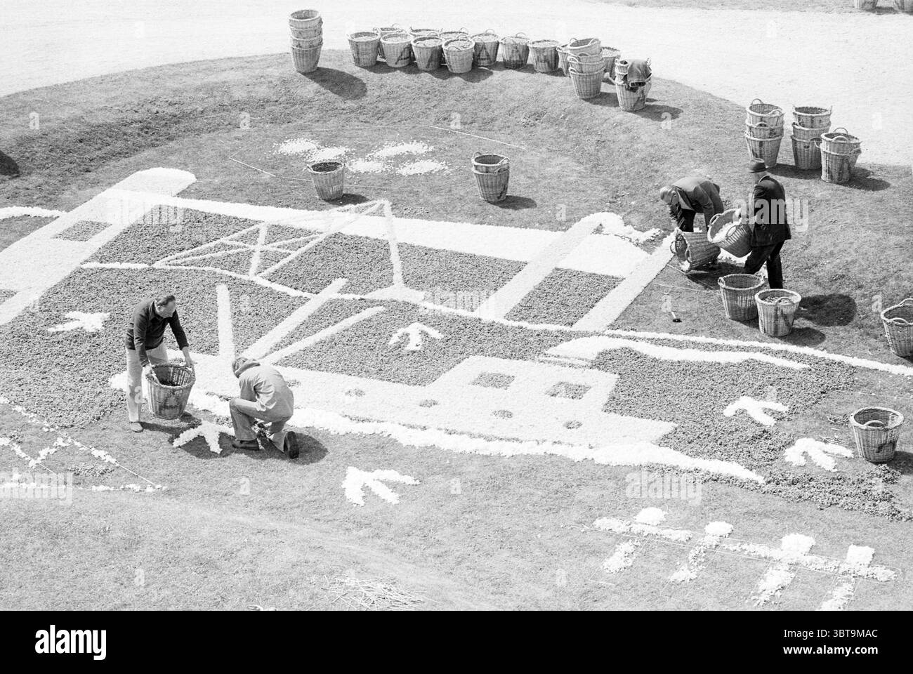 Mosaïque de fleurs pour enfants Beeckestijn Velsen enfants enfants maisons d'enfants enfants fête d'enfants enfants, Whizgle News, Dutch Desk, pays-Bas, 1950 - 2000 le 28-04-1976. L'image montre ces rubriques. La scène capture un paysage détaillé rempli de motifs complexes fabriqués à partir de divers matériaux colorés, probablement des fleurs ou des éléments organiques, disposés sur le sol. Quatre personnes sont engagées dans le processus de création d'un grand design artistique qui présente des formes stylisées ressemblant à un bateau et à un avion, aux côtés d'autres formes géométriques et flèches. Les gens sont habillés en tenue de travail suita Banque D'Images