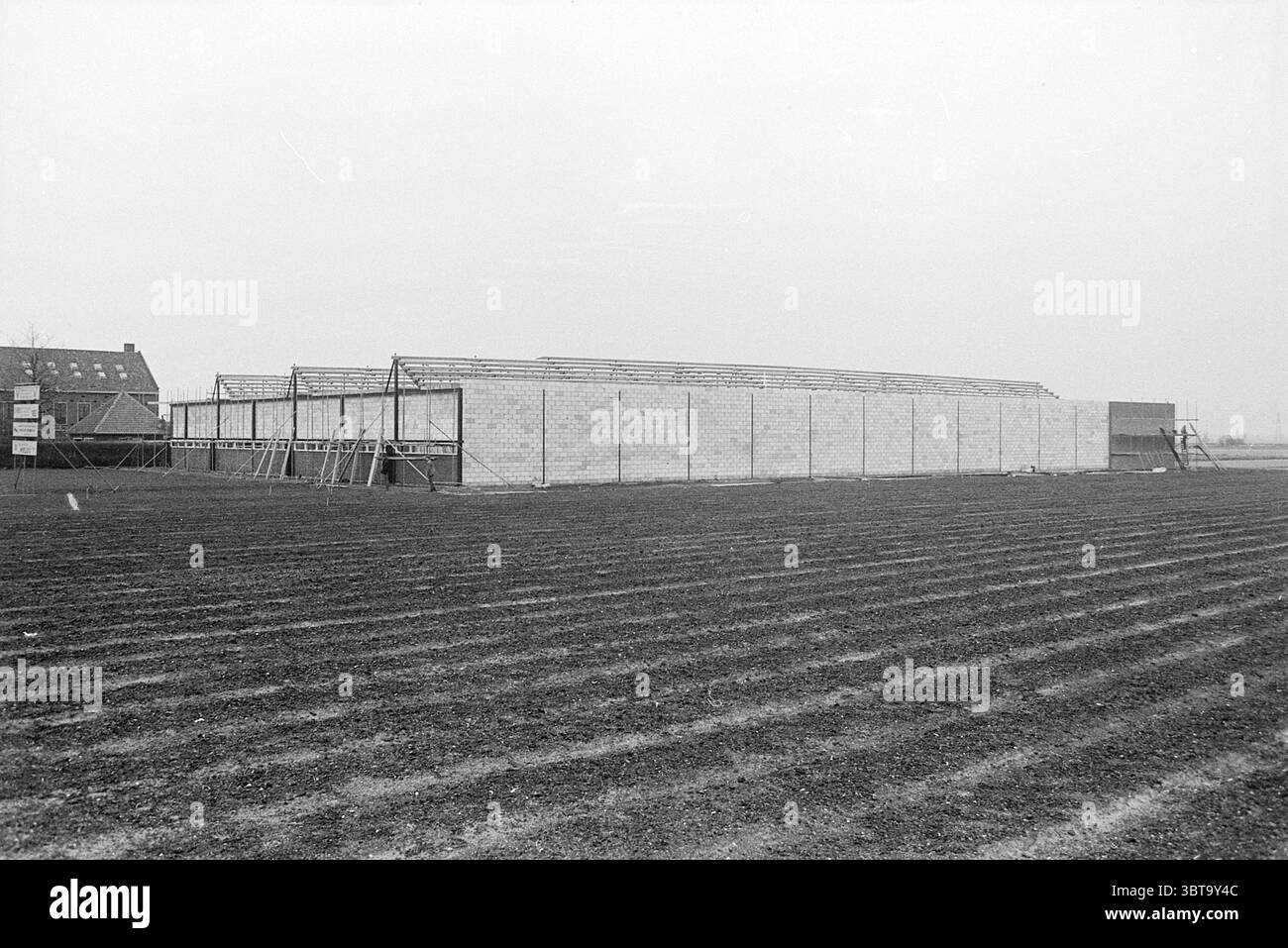 Construction de travaux de hangar à bulbes, Whizgle News, Dutch Desk, pays-Bas, 1950 - 2000 le 22-02-1968. Ces rubriques apparaissent dans l'image. La scène représente un chantier de construction situé dans un paysage ouvert et plat. Au premier plan, le sol présente un sol sombre et fraîchement labouré, avec des sillons visibles s'étendant uniformément sur le champ, suggérant une activité agricole récente. Sur le côté, une grande structure est à différentes étapes de l'assemblage. Ses murs semblent être faits de blocs pâles, et le cadre est exposé, mettant en valeur le contour squelettique du bâtiment. Le toit est partiellement construit, avec un Banque D'Images