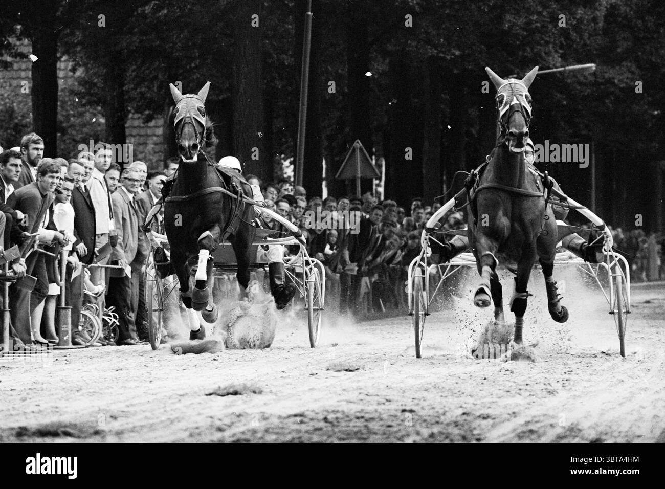 Heemskerk Harnessing, Whizgle News, Dutch Desk, pays-Bas, 1950 - 2000 le 04-09-1969. L'image inclut ces rubriques. La scène capture un événement de course de harnais énergique, caractérisé par deux chevaux galopants, chacun tirant un sulky et son conducteur. Les chevaux, musclés et élégants, présentent un mélange de bruns profonds et de noirs, avec des manteaux brillants brillants sous la lumière ambiante. Leurs canes coulent dramatiquement en mouvement, transportant la vitesse et la puissance. Les pilotes, portant des casques et des équipements de course, sont intensément concentrés, se penchant en avant pour guider leurs chevaux le long de l'hippodrome en terre battue. EAC Banque D'Images