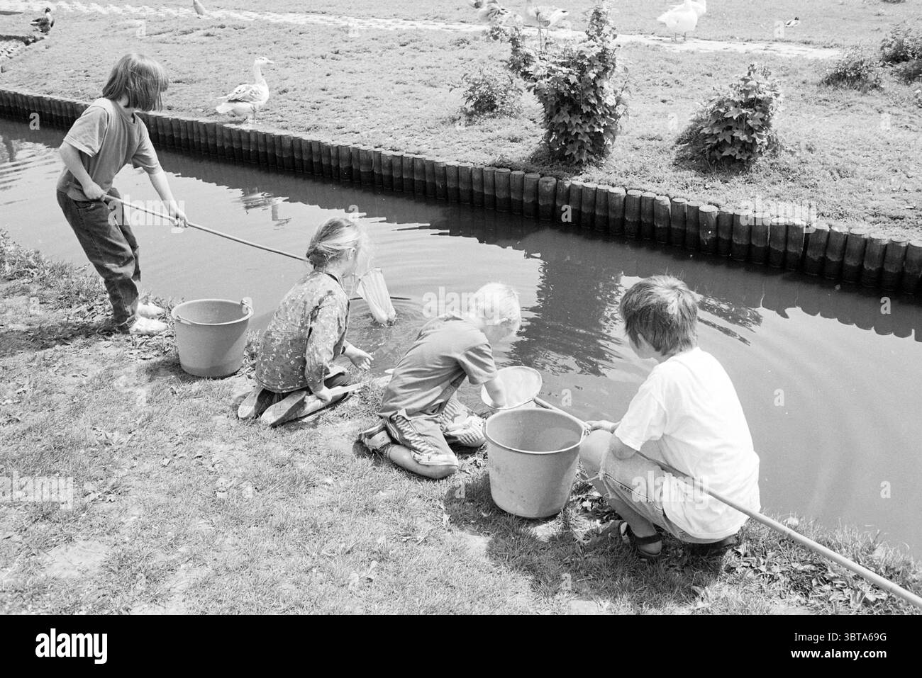 Soins après l'école Zorgvrij Spaarnwoude, Whizgle News, Dutch Desk, pays-Bas, 1950 - 2000 on 29-05-1996. L'image inclut ces rubriques. La scène capture un cadre extérieur serein par un canal qui coule doucement, bordé par une végétation luxuriante et une haie soigneusement taillée. Au premier plan, quatre enfants sont engagés dans une exploration ludique, leur focus étant fixé sur les eaux peu profondes. Deux garçons et deux filles sont vus agenouillés au bord de l'eau, leur attention absorbée dans l'activité d'attraper de petites créatures aquatiques. Ils sont chacun équipés de filets et de seaux, leurs expressions un mélange de conce Banque D'Images