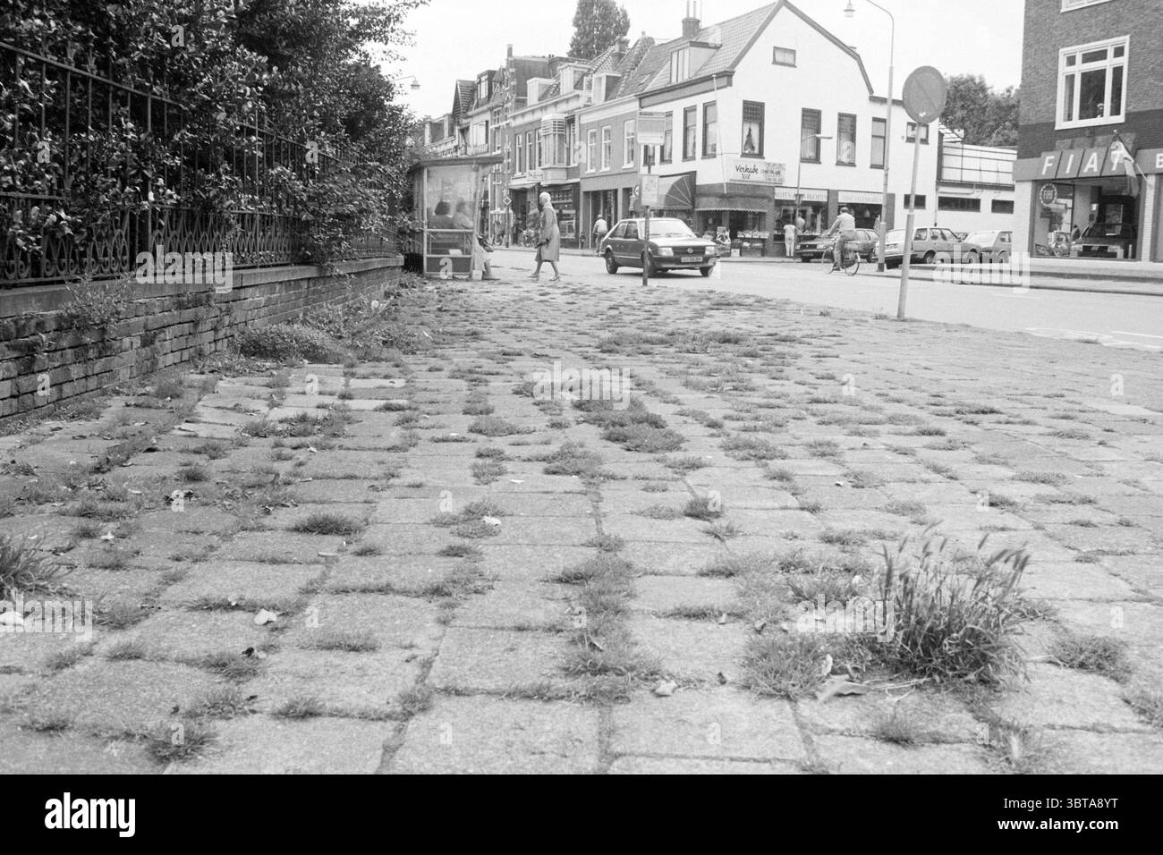 Mauvaises herbes entre les pierres Haarlem jardins publics plantes arbustes Heisters Haarlem Wagenweg pays-Bas, Whizgle News, Dutch Desk, pays-Bas, 1950 - 2000 on 20-08-1985. Ce sont les éléments de l'image. La scène représente un cadre urbain animé avec un accent sur un large trottoir pavé qui s'étend vers un coin de rue animé. Le sol se compose d'une grille de dalles carrées en béton, dont certaines sont fissurées et envahies par des taches d'herbe et de mauvaises herbes, suggérant un manque d'entretien. En arrière-plan, une variété de bâtiments bordent la rue. Leur architecture présente un mélange de styles, w Banque D'Images