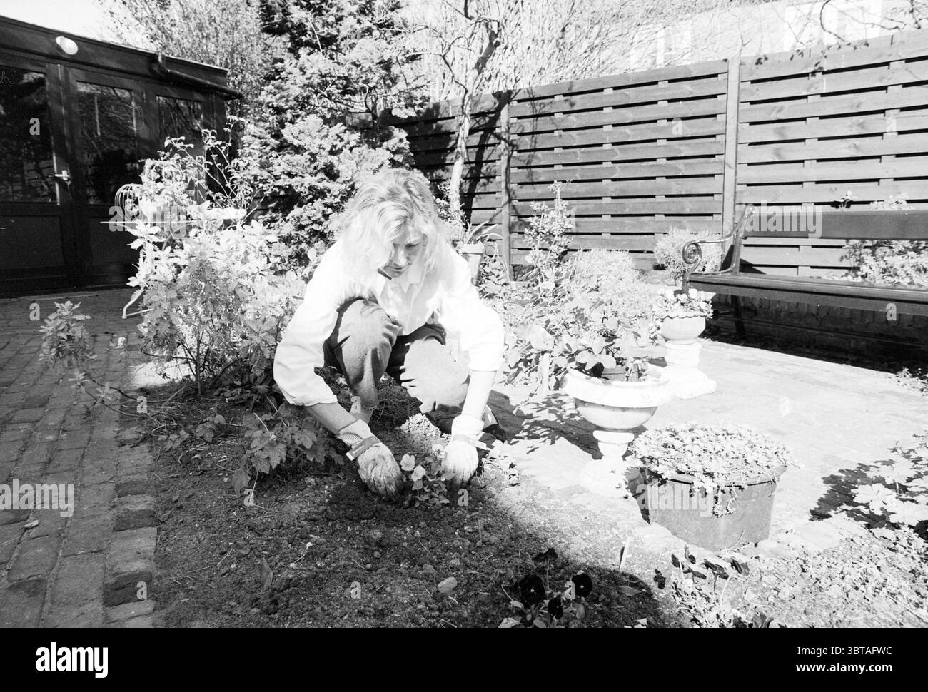 MRS Pol dans le jardin en raison des jardins du club de jardin et des parcs, Whizgle News, Dutch Desk, pays-Bas, 1950 - 2000 le 30-03-1989. Voici les rubriques de l'image. Dans un jardin tranquille, une personne s'agenouille près de la terre, engagée dans la plantation de fleurs. La scène capture un effort méticuleux, avec de la terre dispersée autour de leurs mains, suggérant une connexion avec la terre. L'individu est vêtu d'une chemise de couleur claire, qui contraste avec les teintes plus foncées du sol et de la verdure environnante. Autour d'eux est une variété de plantes : certaines fleurs vibrantes et d'autres en pots, améliorant Banque D'Images