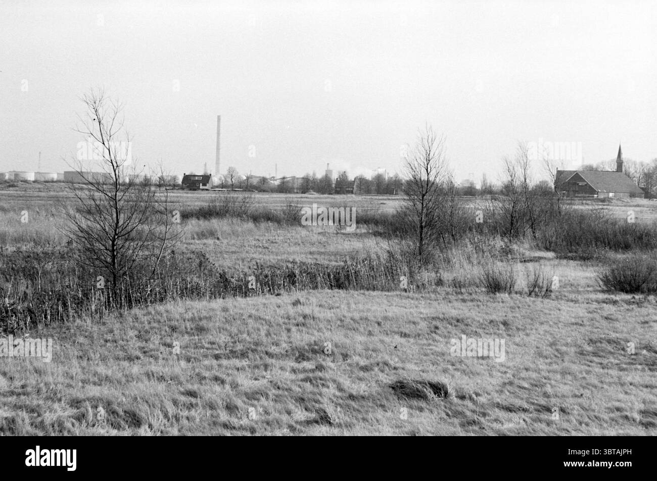 Wasteland Ruigoord tour d'église et industrie dans le fond Haarlemmerliede, Whizgle News, Dutch Desk, The Netherlands, 1950 - 2000 sur 21-11-1980. L'image contient ces rubriques. La scène représente un vaste paysage ouvert caractérisé par une palette monochrome discrète. Au premier plan, des taches herbeuses, teintées d'un gris clair, s'étendent sur le sol. Des arbres clairsemés et sans feuilles parsèment la zone, leurs branches élancées s'étendant vers le haut, ajoutant une impression de hauteur et de délicatesse. Alors que l'œil se déplace vers le milieu, un groupe de bâtiments émerge, légèrement flous mais discernables. Une structure proéminente a Banque D'Images