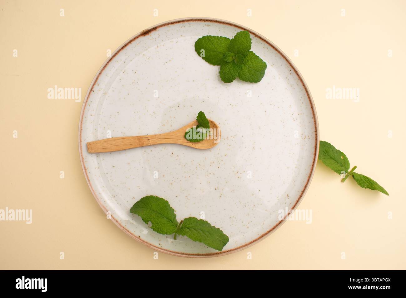 Fougères sèches et branches sauvages sur fond neutre – nature morte botanique » Banque D'Images