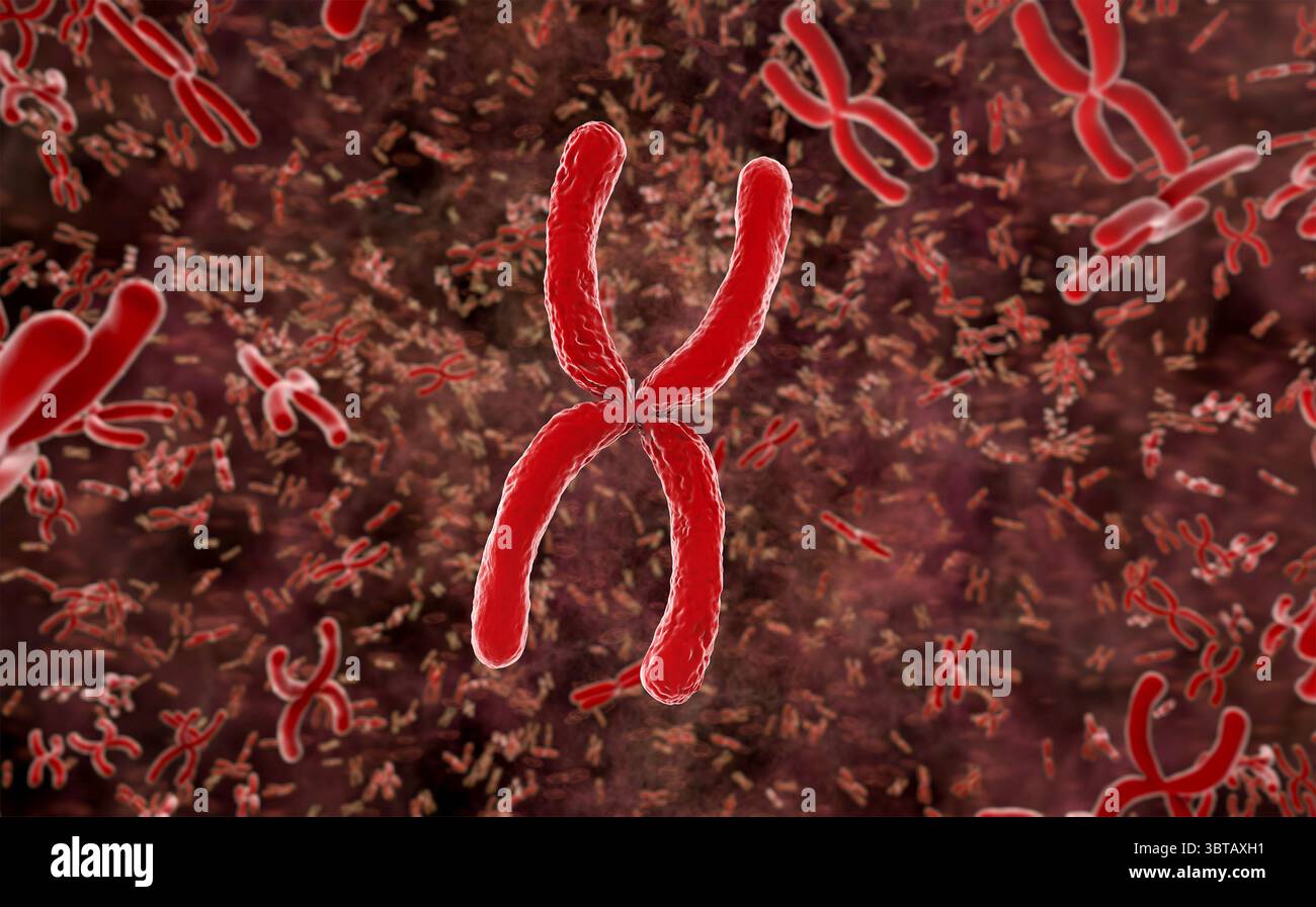 3d rendu du chromosome x rouge au microscope Banque D'Images