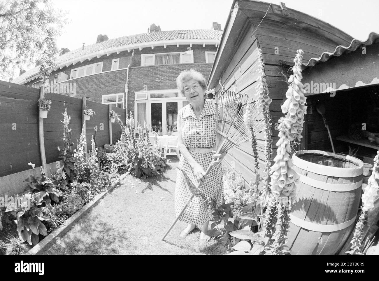 Garden Pride of MRS Nulte Haarlem pays-Bas, Whizgle News, Dutch Desk, pays-Bas, 1950 - 2000 on 10-06-1992. Ce sont les éléments de l'image. La scène dispose d'un jardin animé avec pour toile de fond une maison pittoresque. Au premier plan, une femme âgée se tient debout avec une expression joyeuse, tenant un râteau orné d’herbe fraîchement coupée. Elle porte une robe à pois, qui ajoute une touche de charme à son comportement. Autour d'elle se trouvent des plantes vertes luxuriantes, avec diverses espèces à fleurs contribuant à des éclats de couleur : les roses douces, les blancs et les jaunes contrastent magnifiquement avec Banque D'Images