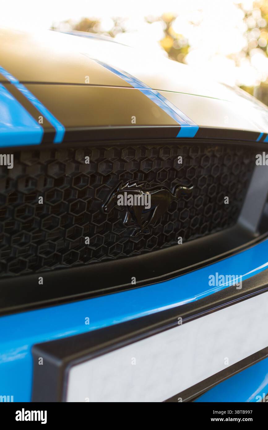 Ford Mustang GT S550 Black Pony calandre emblème Banque D'Images