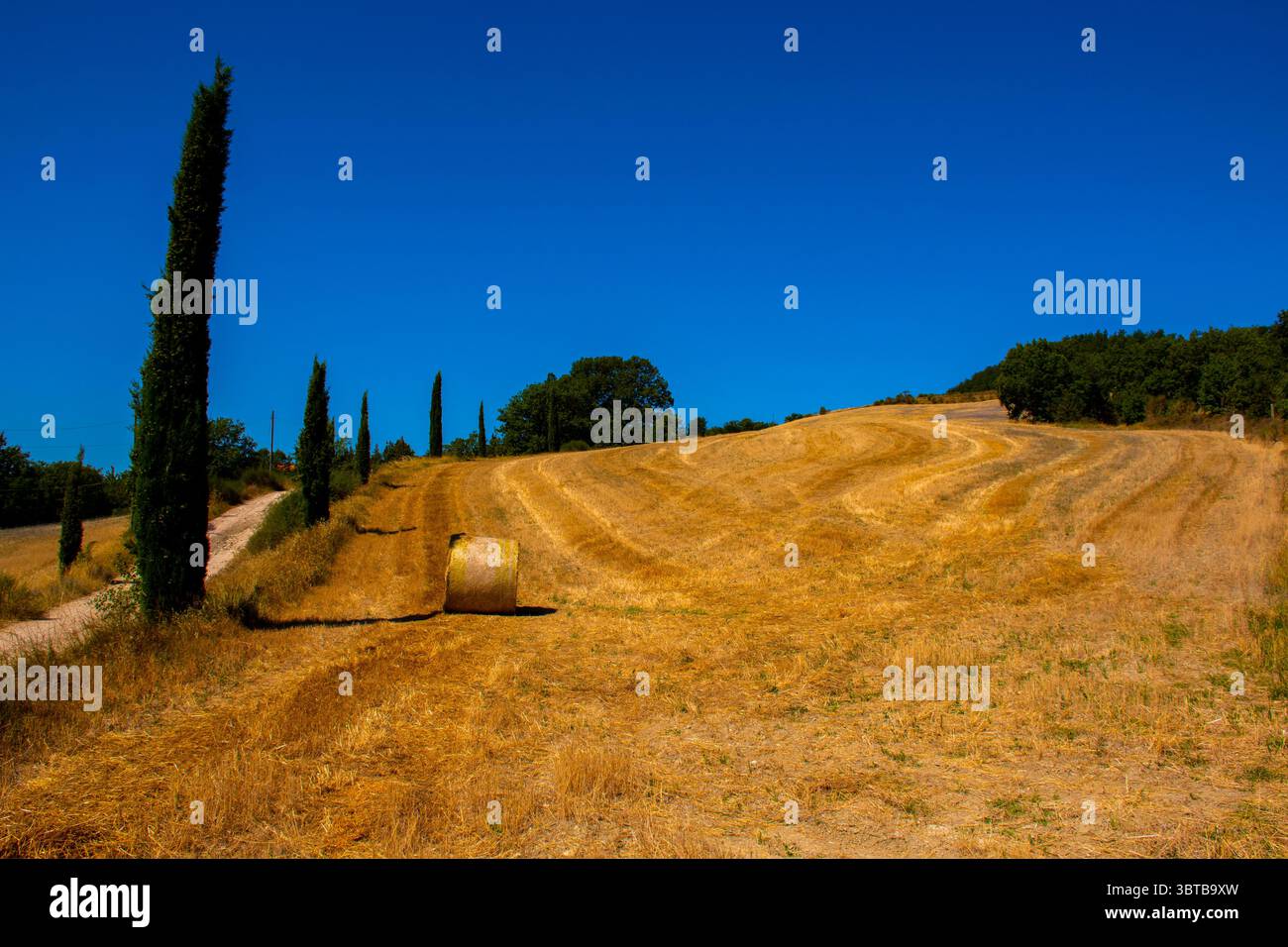 Image de l'Ombrie avec la couleur des champs et des ballots de foin cyprès accompagner la route de San Francesco d'Assisi Italie Banque D'Images