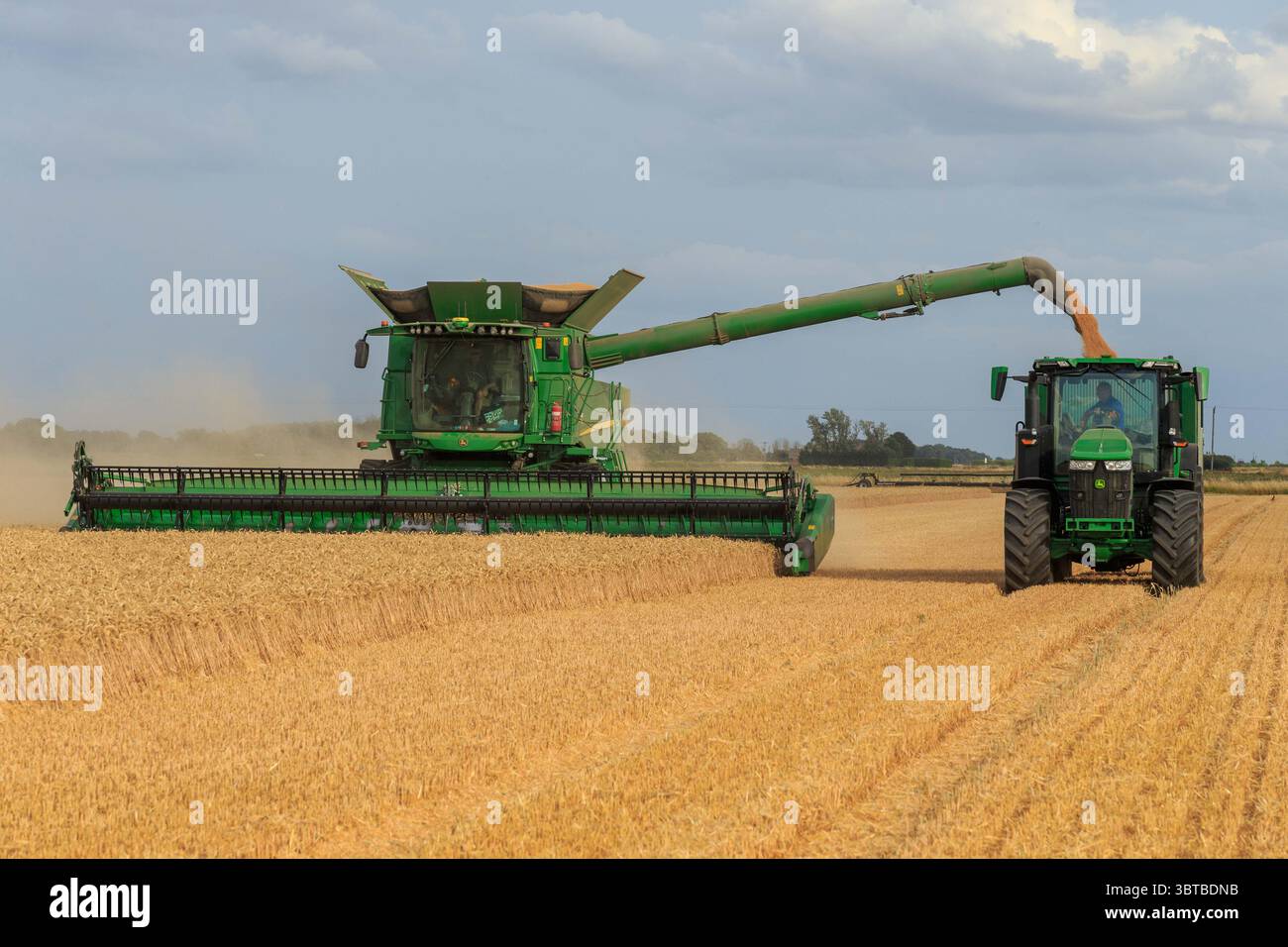 Langtoft Fen, Lincolnshire Royaume-Uni. 14 juillet 2025. Météo britannique. Les agriculteurs du Royaume-Uni signalent de faibles rendements en raison de la sécheresse en cours alors que la récolte du blé d'hiver palladium à 12,5 % d'humidité commence dans les Fens du Lincolnshire . Crédit photo : Tim Scrivener/Alamy Live News Banque D'Images