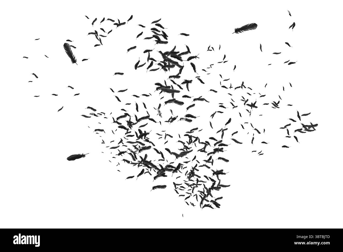 Beaucoup de plumes qui souffle dans la brise Banque D'Images