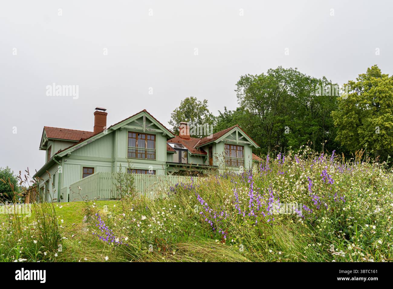 Maison en bois vert clair avec toit rouge sur une colline couverte de fleurs sauvages en Estonie - charme de campagne rustique sous ciel couvert d'été. Banque D'Images