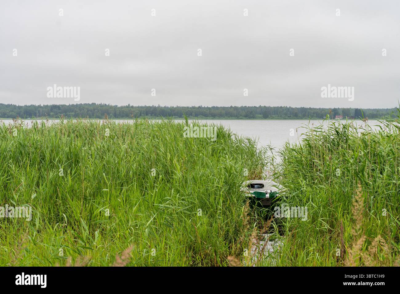 Vue imprenable sur le lac Tamula en Estonie, avec un bateau vert caché parmi de grands roseaux sous un ciel couvert d'été - paisible et isolé. Banque D'Images