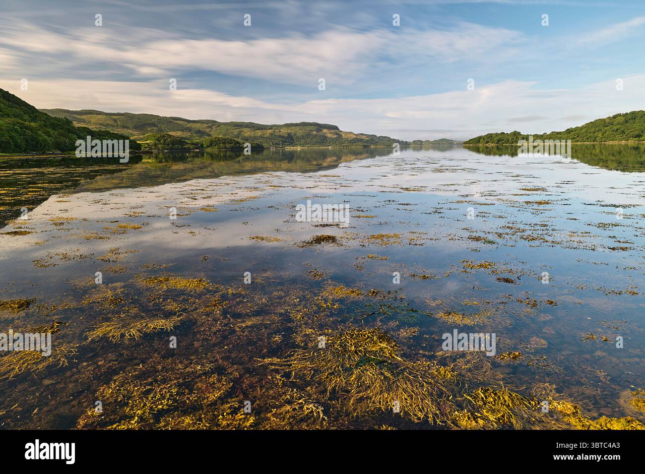 Loch Melfort, Argyll , Écosse Banque D'Images