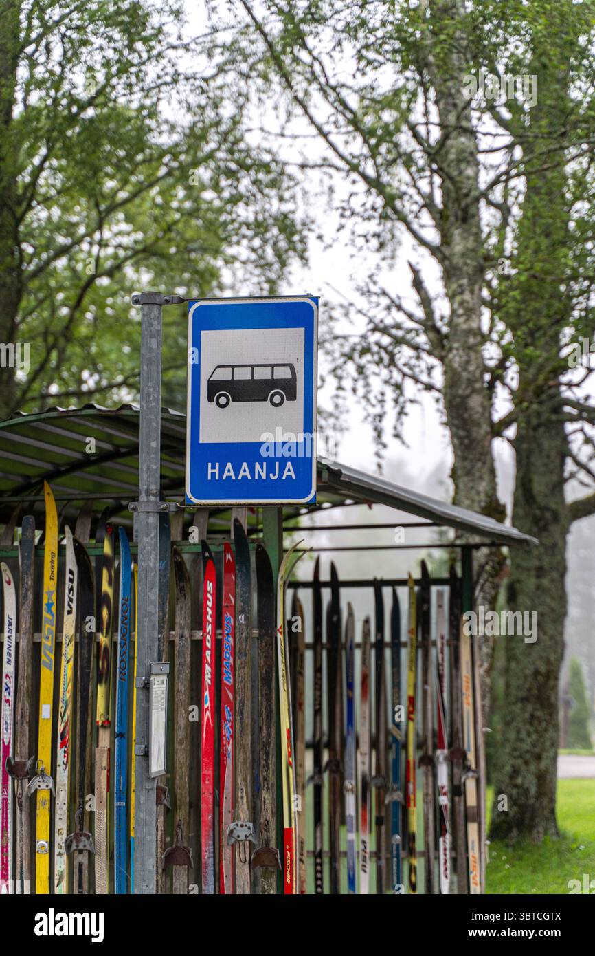 Arrêt de bus étiqueté « HAANJA » avec des skis de fond stockés sous abri à Võrumaa, Estonie – culture locale des sports d’hiver dans la campagne balte. Banque D'Images