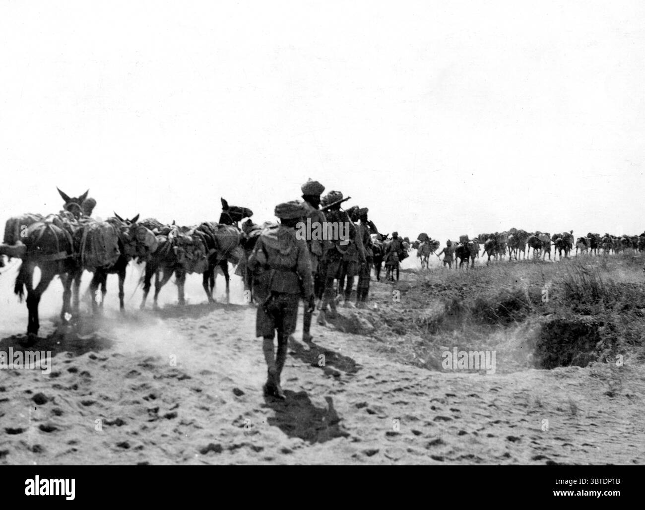 Transport indien de première ligne. 1914 - 1918 Banque D'Images