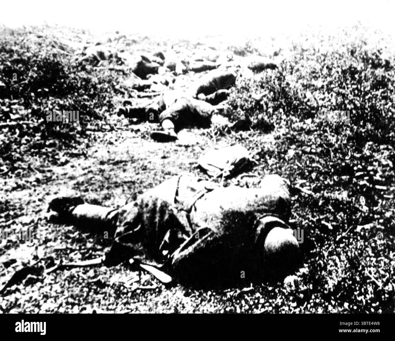 Turcs morts sur les pentes de Chocolate Hill suite à une attaque alliée depuis la baie de Suvla. Banque D'Images