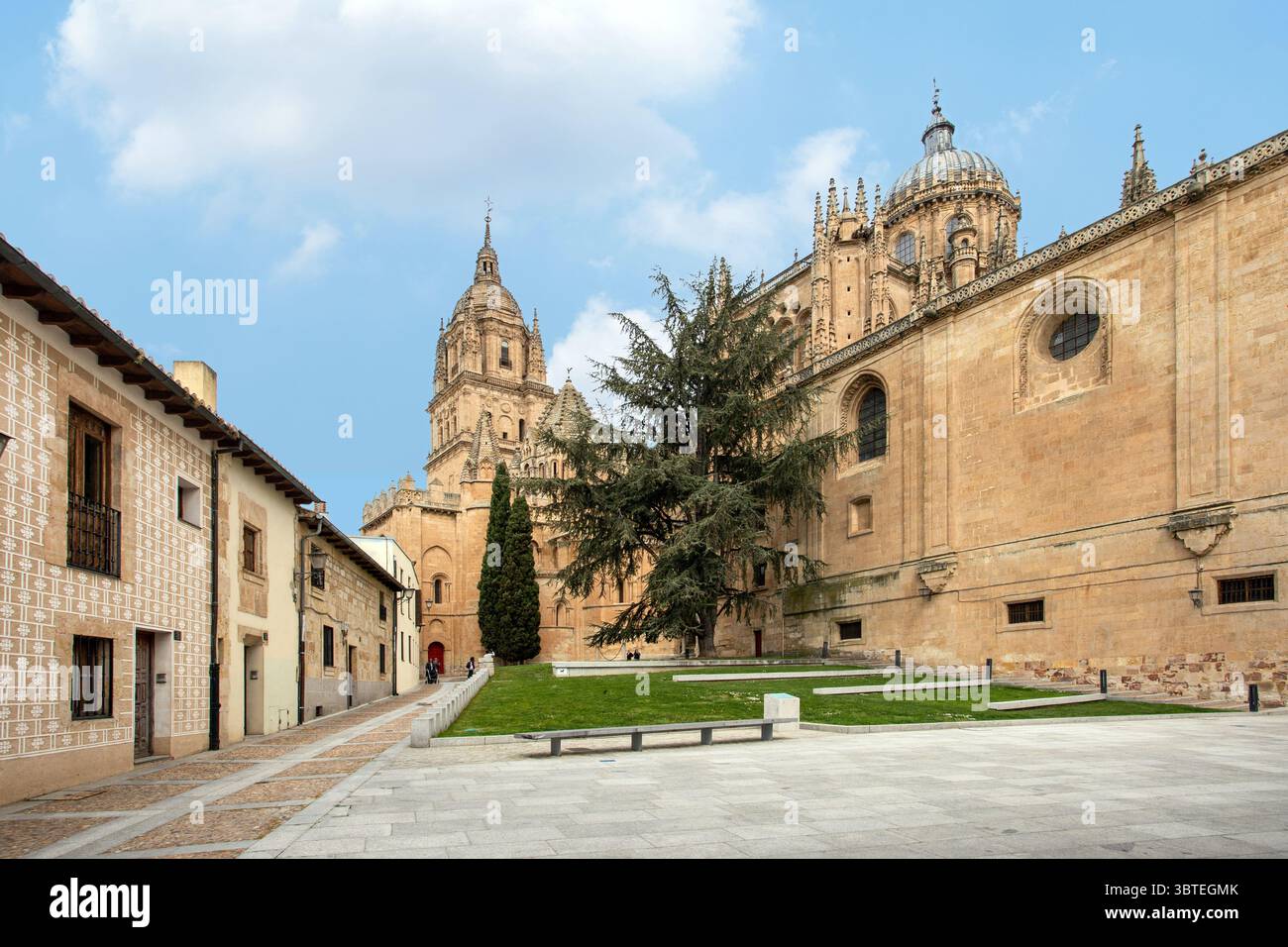 Touristes et vacanciers en dehors de la cathédrale de Salamanque de l'Assomption de la Vierge Marie dans la ville espagnole de Salamanque Castille Léon Espagne Banque D'Images