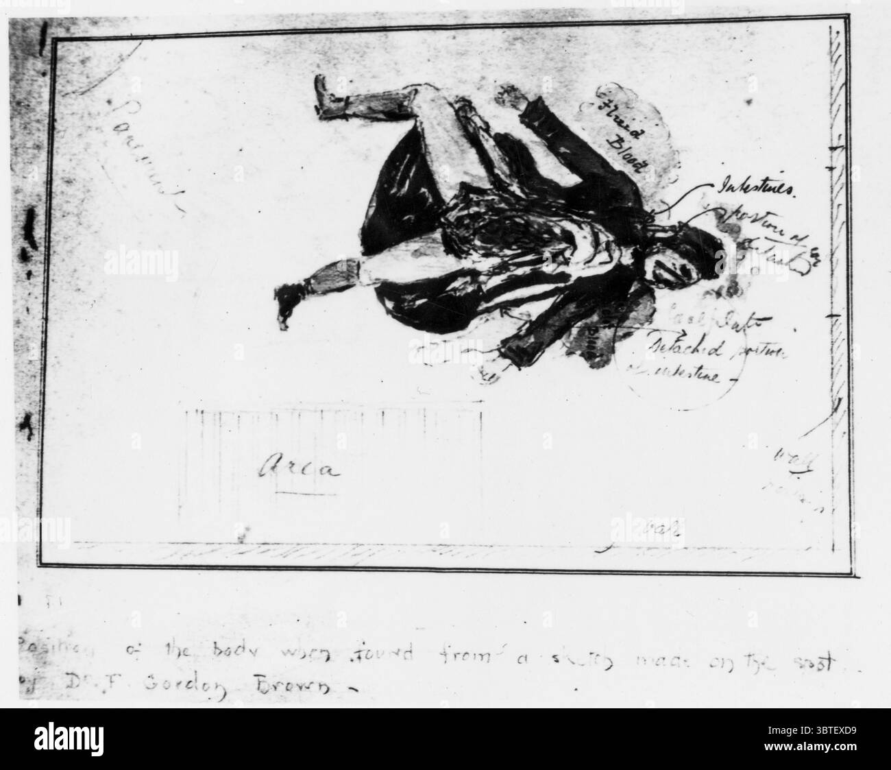 Jack l'Éventreur Un croquis du Dr F. Gordon Brown fait sur place pour montrer la position du corps et des détails significatifs. Banque D'Images