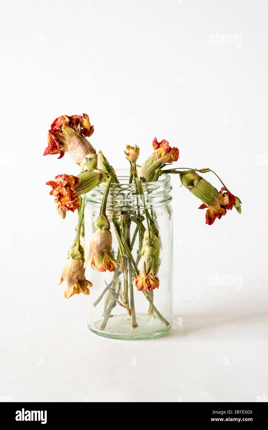 Pot de confiture avec des fleurs mortes. Banque D'Images