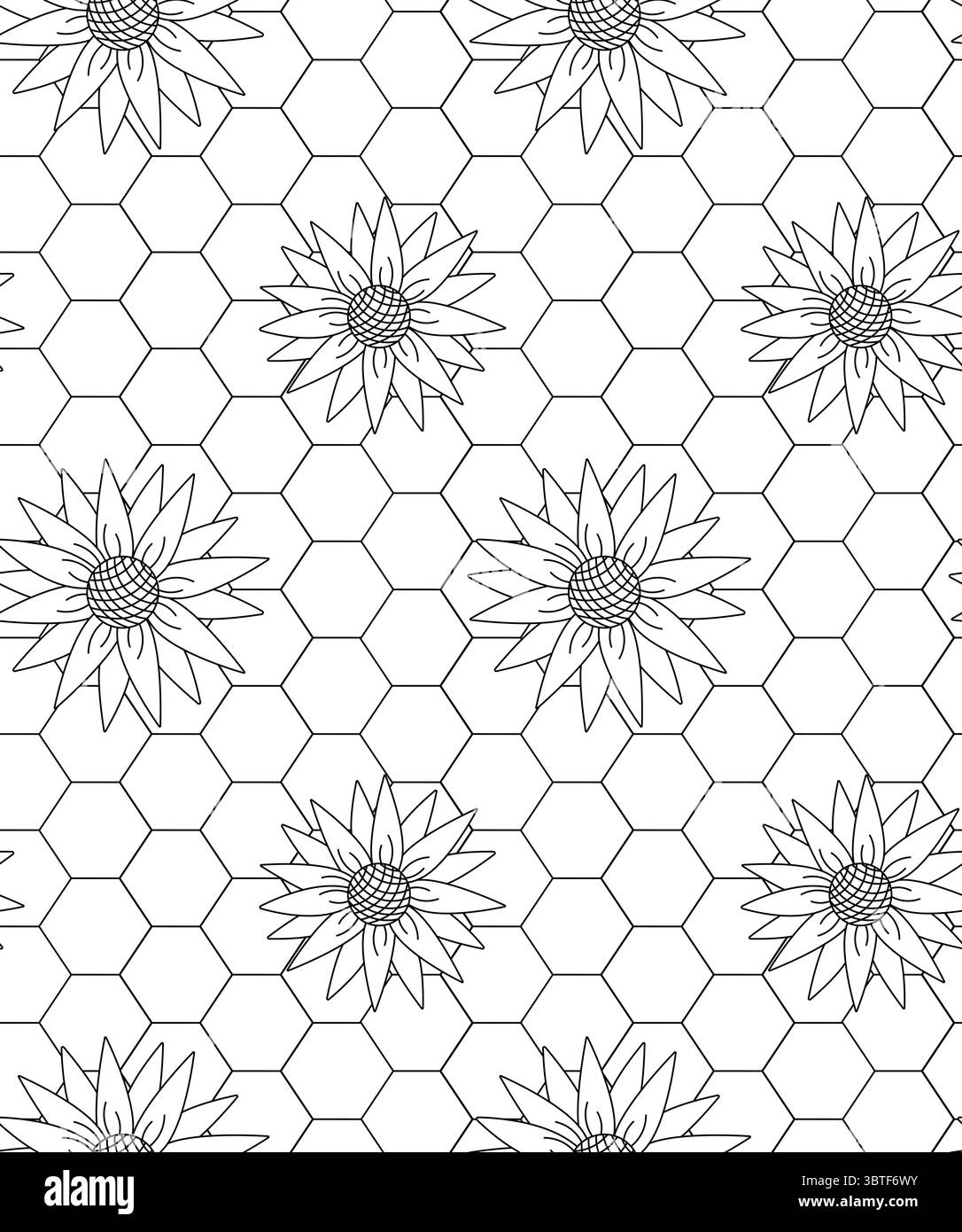 nid d'abeille avec motif sans couture de tournesol. Illustration de ligne graphique vectorielle. Parfait pour les cartes, décorations, autocollants, logo, menu, divers modèles. FO Illustration de Vecteur