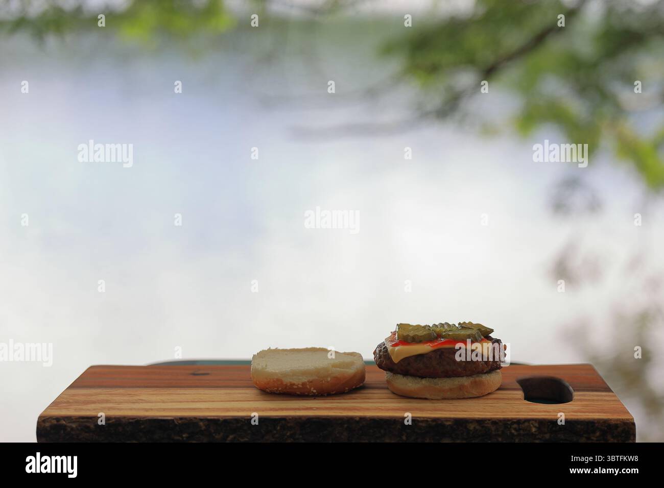 Cheeseburger sur un pain de graines de sésame à face ouverte, sur une planche à découper en bois, sur la rive d'un lac pittoresque Banque D'Images Cheeseburger sur un pain de graines de sésame à face ouverte, sur une planche à découper en bois, sur la rive d'un lac pittoresque Banque D'Images