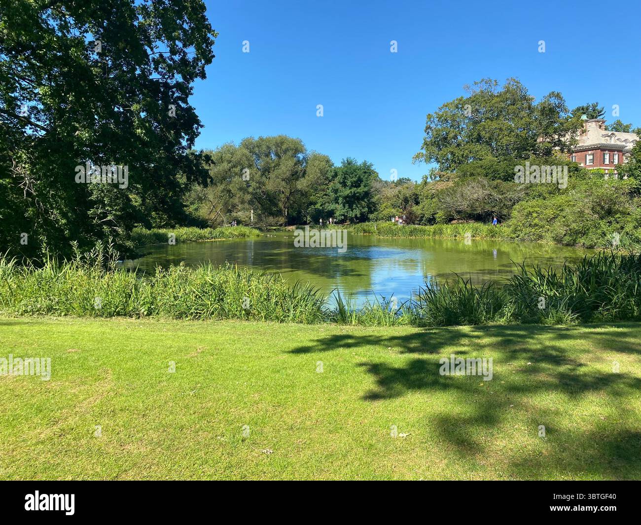Lac avec paysage vert et manoir en arrière-plan - Image de stock capturée avec un smartphone