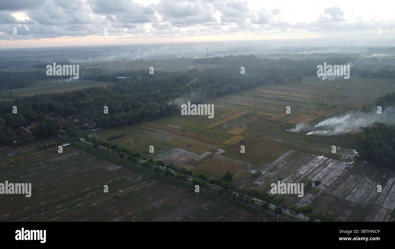 Vue aérienne sur des champs cultivés montrant des terres agricoles avec des panaches de fumée et une forêt voisine par jour couvert Banque D'Images