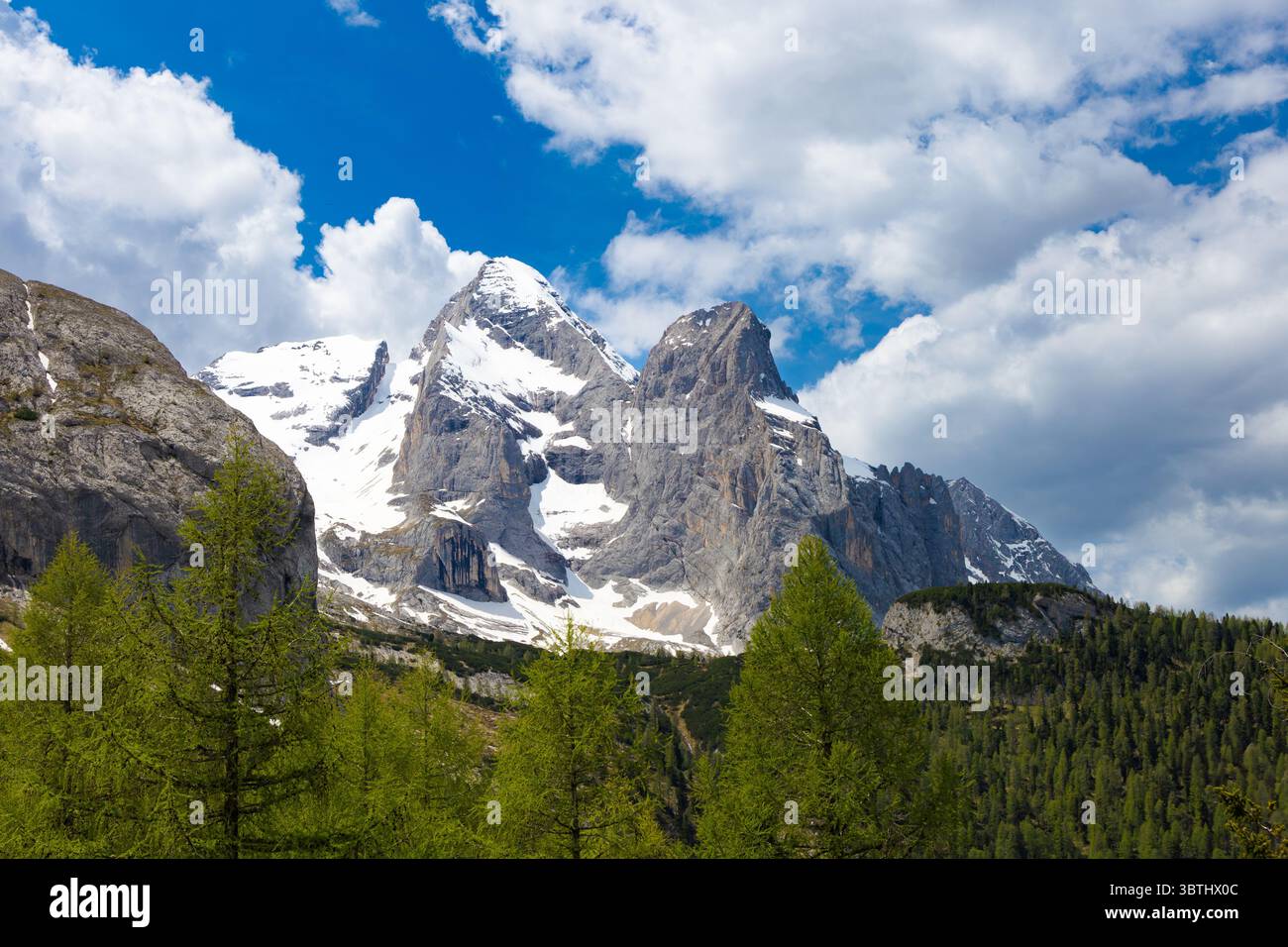 Les majestueux sommets enneigés de Marmolada s'élèvent bien au-dessus d'une forêt verdoyante, sous un ciel bleu vif avec des nuages blancs éparpillés. Banque D'Images