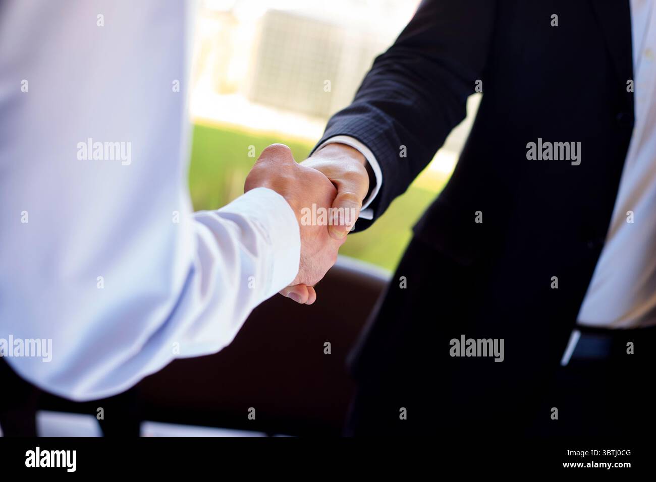 Businessmen shaking hands Banque D'Images