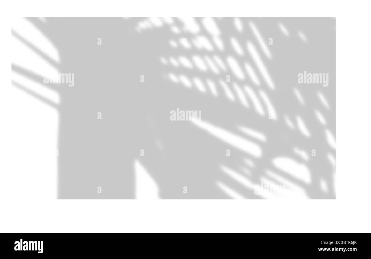 Effet de superposition réaliste d'ombre de feuille de palmier isolé sur fond blanc, ombre naturelle de branche de palmier tropical. Maquette d'ombre transparente pour produ Illustration de Vecteur Effet de superposition réaliste d'ombre de feuille de palmier isolé sur fond blanc, ombre naturelle de branche de palmier tropical. Maquette d'ombre transparente pour produ Illustration de Vecteur