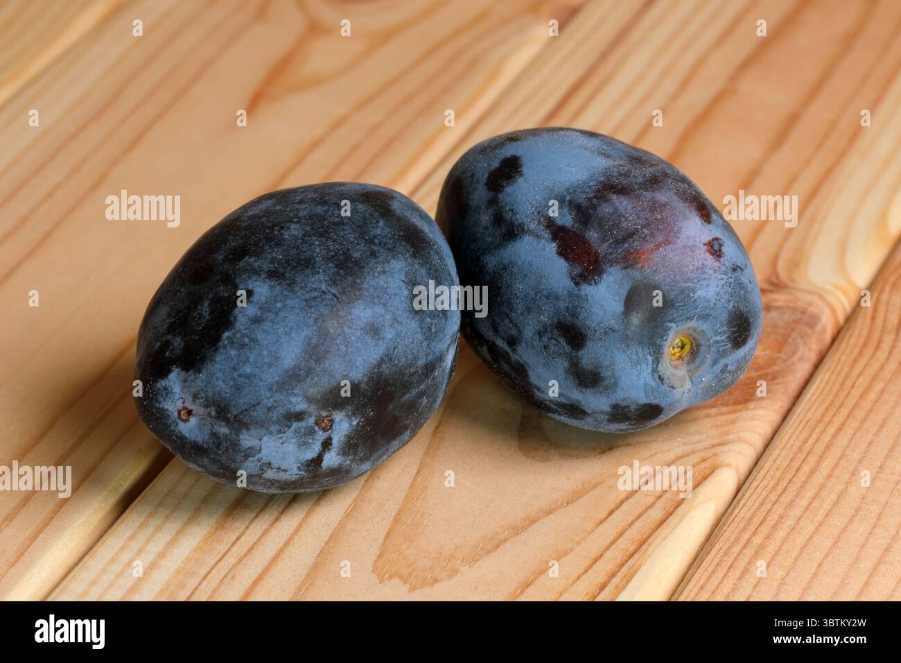 Deux prunes mûres sucrées non lavées avec de la cire naturelle sur une table en bois clair gros plan Banque D'Images