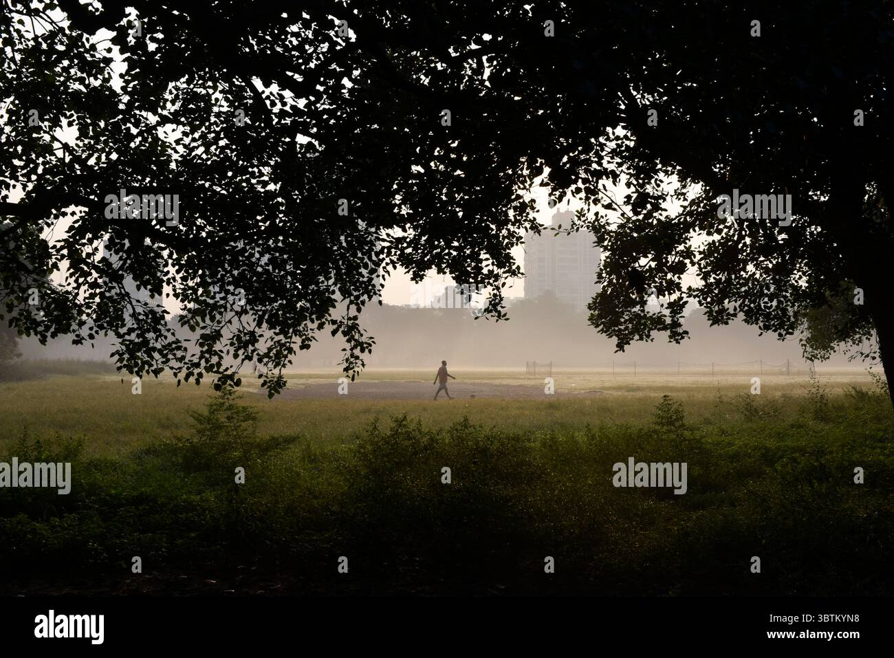 29 octobre 2019 - Kolkata, Bengale occidental, Inde - Un homme marche dans un champ par un matin brumeux. Kolkata fait face au pire indice de qualité de l'air (IQA), qui est de 196 après les célébrations du festival de Diwali lundi, selon les médias indiens. (Crédit image : © Indranil Aditya/ZUMA Wire) Banque D'Images