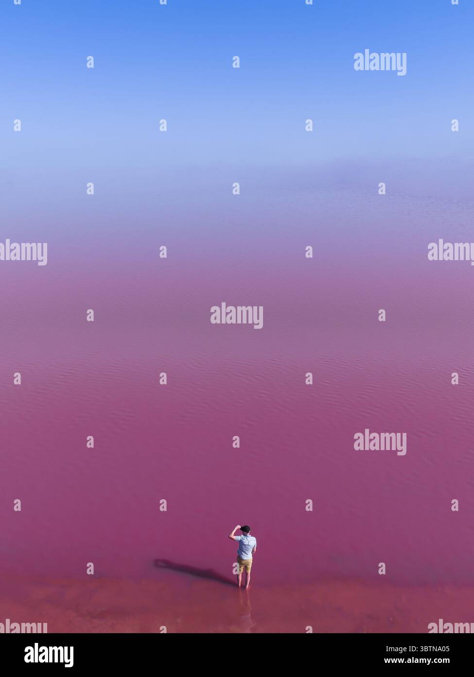 Vue aérienne d'une figure solitaire debout dans les eaux roses vibrantes de Hutt Lagoon, une scène d'un autre monde aux teintes contrastées, Australie occidentale, Australie occidentale, Australie. Banque D'Images