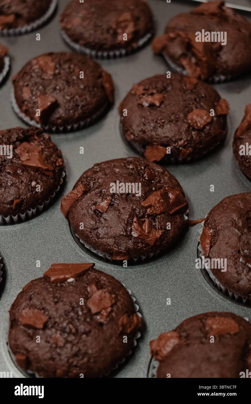 Muffins au chocolat fraîchement cuits dans un moule à muffins Banque D'Images