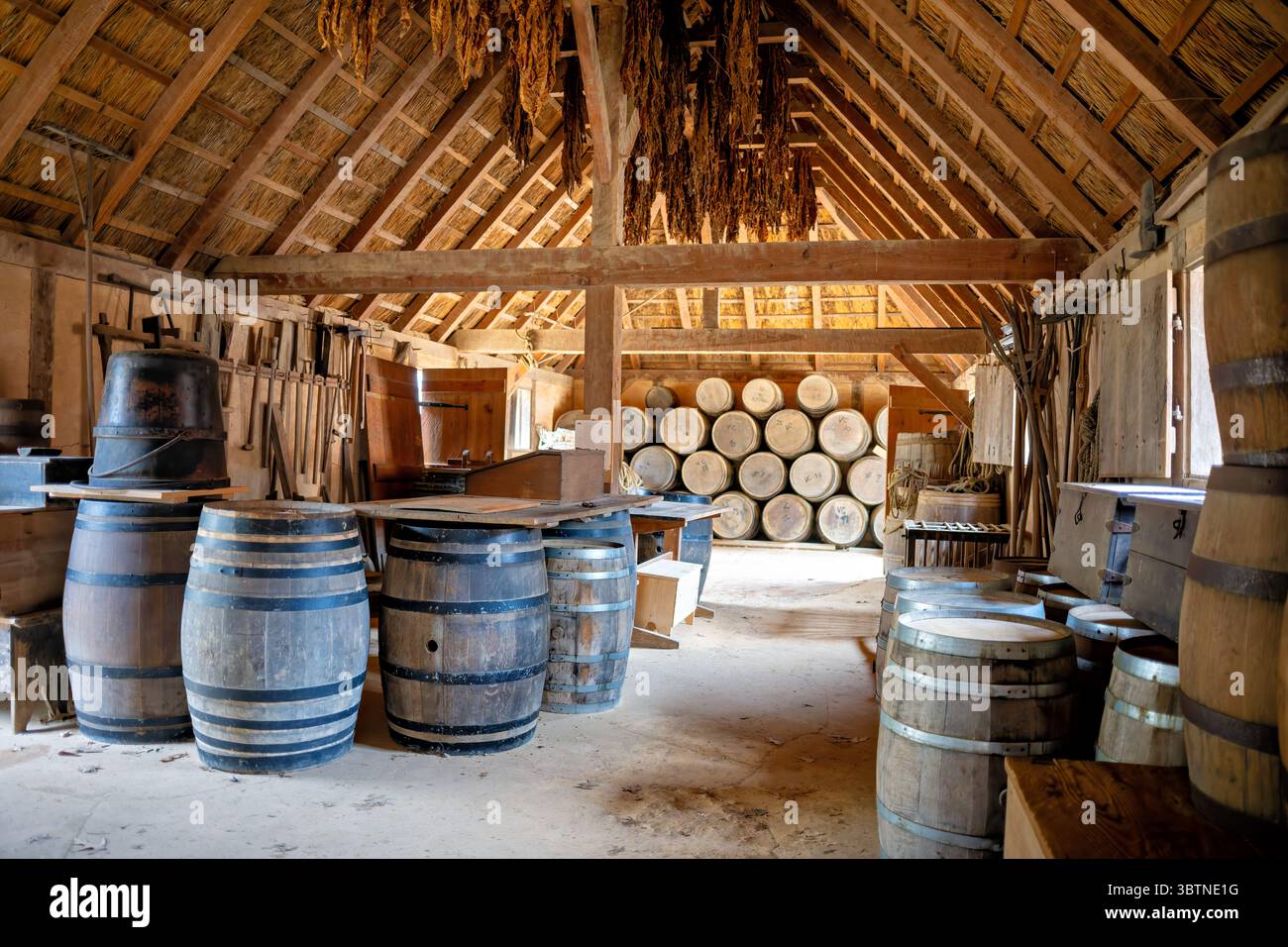 Jamestown Settlement Storage Building Barrels Jamestown Virginia // JAMESTOWN, Virginia — Un bâtiment de stockage expose des barils, de l'équipement et des fournitures dans le fort James recréé à Jamestown Settlement. Le fort représente l'avant-poste militaire de la Virginia Company de Londres tel qu'il apparaissait en 1610-14, représentant le début de la période coloniale lorsque les colons anglais ont établi leur pied dans le Nouveau monde. Le musée de l'histoire vivante présente des structures de toit de chaume, y compris une église anglicane, une cour de garde, un entrepôt et la maison du gouverneur qui témoignent de la vie quotidienne dans les fortifications Banque D'Images