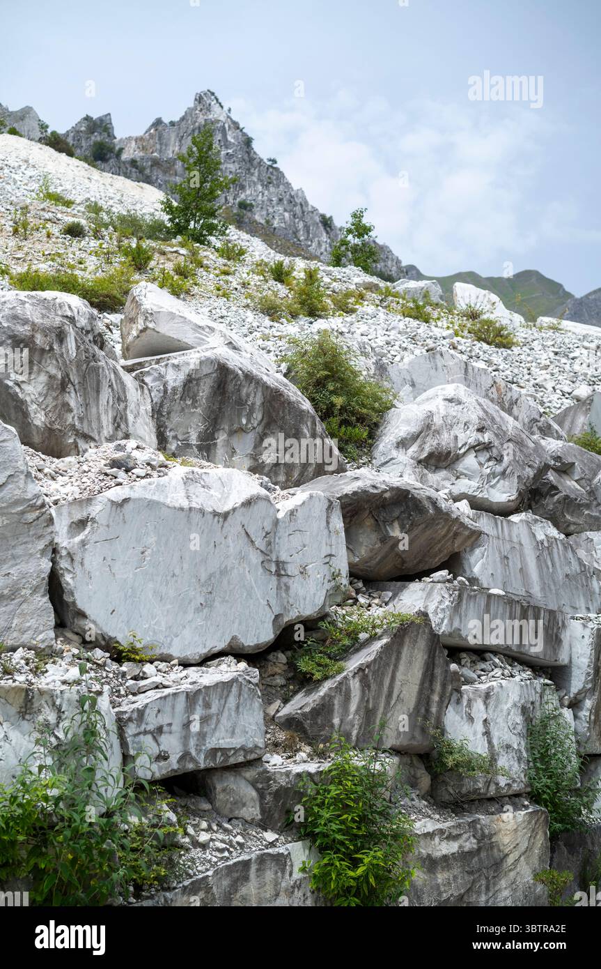 Carrière de marbre dans les Alpes Apuanes produisant le célèbre marbre de Carrare, connu pour ses veines blanches et grises dans la province de Massa et Carrara dans le LUN Banque D'Images