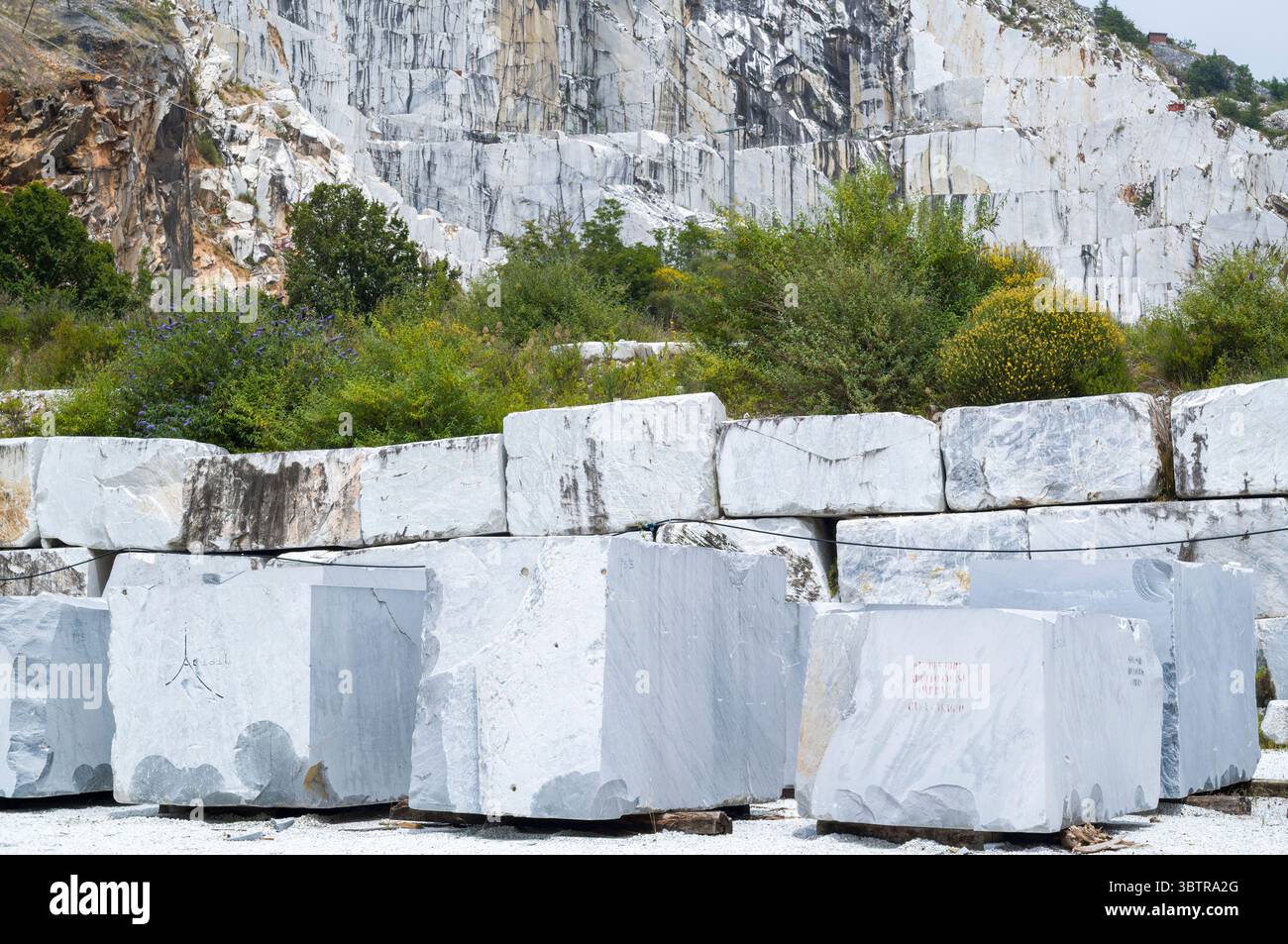 Carrière de marbre dans les Alpes Apuanes produisant le célèbre marbre de Carrare, connu pour ses veines blanches et grises dans la province de Massa et Carrara dans le LUN Banque D'Images