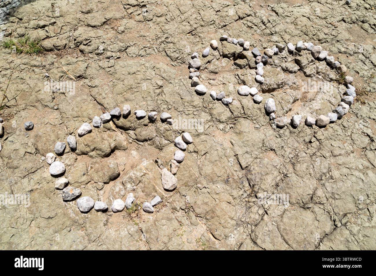 Un site avec des traces de dinosaures fossiles lors d'une visite au parc national de Turritelas, un parc paléontologique, dans le désert, San Juan Raya, Puebla, Mexique Banque D'Images