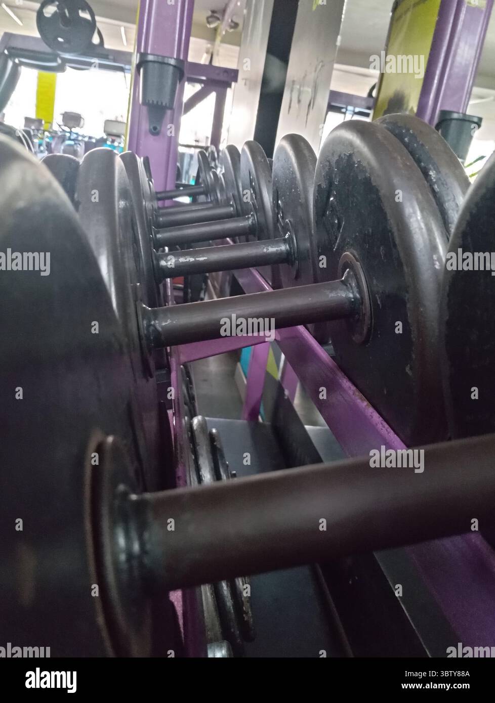 Intérieur d'une salle de fitness moderne avec diverses machines et équipements d'entraînement. Espace propre et organisé sans personnes. Inclut cardio, entraînement de musculation Banque D'Images
